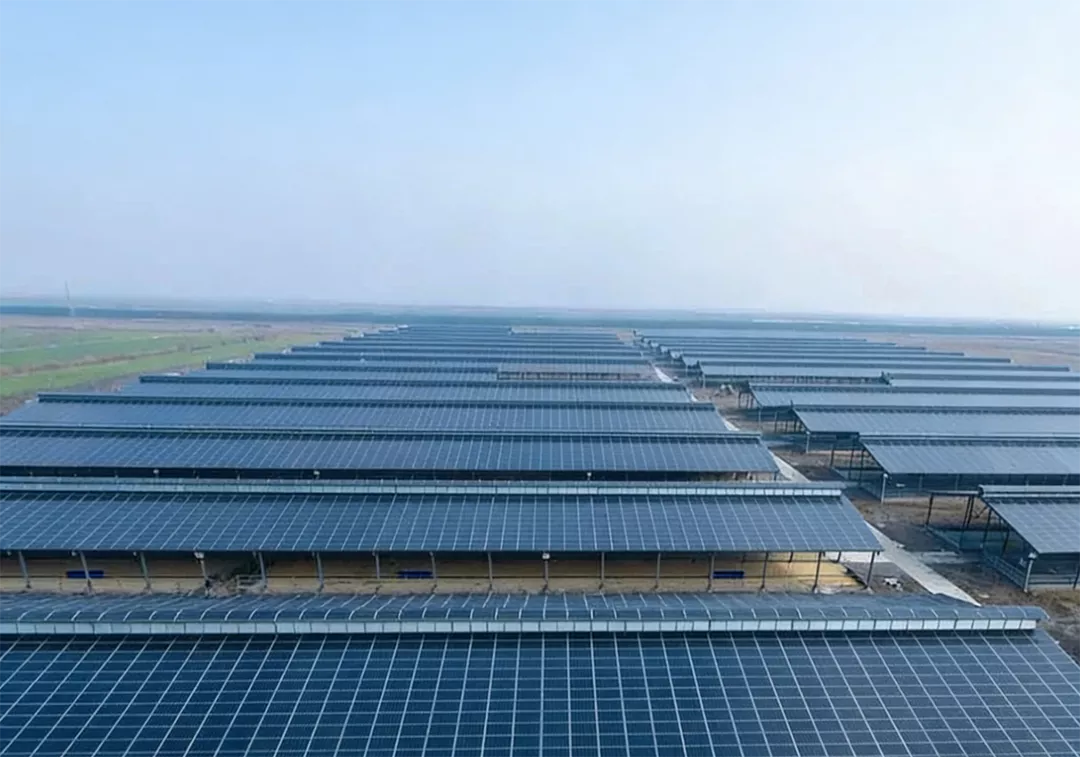 光伏走向多場景融合:從“棚頂”到“城市空間”